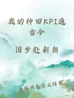 我的种田KPI通古今